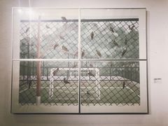 -中国版画博物馆