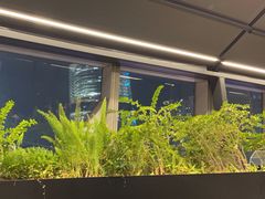 -柿合缘新京菜(国金中心商场店)
