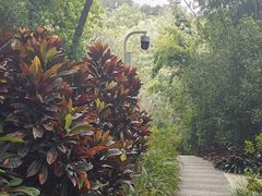 -云溪植物园