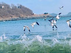 -银沙滩浴场