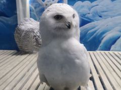 -成都浩海立方海洋公园