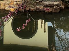 -红梅公园