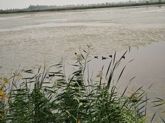 -野鸭湖国家湿地公园