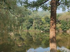 -九如山休闲旅游度假区