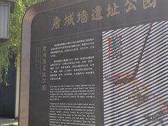 -唐城墙遗址公园