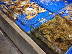 -船歌·鱼水饺青岛菜(闽江二路店)