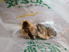 -双季花艺园艺市场(浦东店)