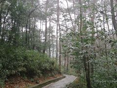 -溪口-滕头旅游景区