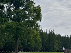 -黄海国家森林公园