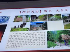 -天全县三土司椒麻鸡餐厅