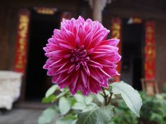 -海窝子古镇