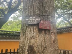 -普陀山风景名胜区-法雨禅寺