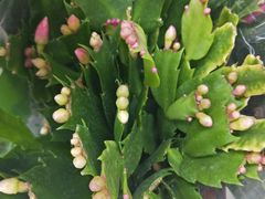 -物美超市(通州梨园店)