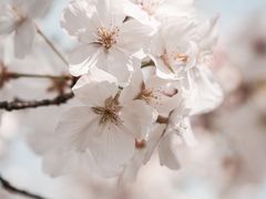 -浙江大学(玉泉校区)