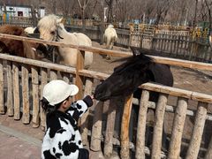 -水上乐园·欢乐世界