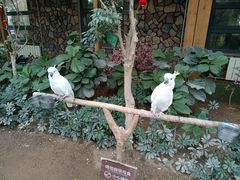 -南宫五洲植物乐园