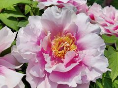 -老雒阳面馆·水席(王城路店)