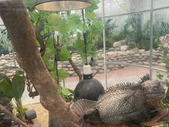 -南宫五洲植物乐园