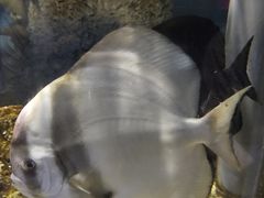 -临沂极地海洋王国