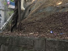 -渝和喵叔米线(南坪万达店)