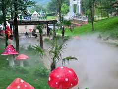 -沂蒙山旅游区云蒙景区(蒙山国家森林公园)