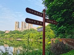 -重庆彩云湖湿地公园