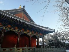 -护国法轮寺