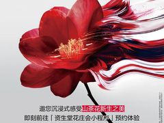 -交通银行前滩31演艺中心