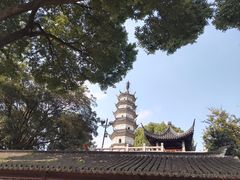-苏州上方山国家森林公园