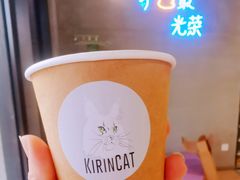 -十年猫舍·猫咪专门店(普陀店)