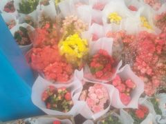 -重庆市江北嘴中央商务区中央公园