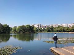-新江湾城公园