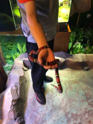 -酷嗒动物文化乐园(cutezoo西溪乐天城店)