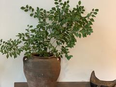 -MOJ coffee(瓯海泽雅水碓坑店)