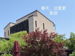 -品悦(崇明凯悦店)