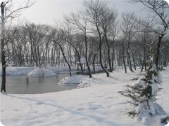 室外温泉-金孔雀温泉旅游度假村