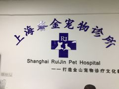 -睿金宠物医院·CT·肿瘤·骨外科