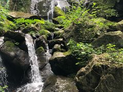 -藏龙百瀑风景区