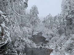 -龙苍沟森林公园