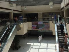 -上海中医药大学附属曙光医院(东部)