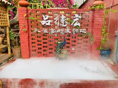 -品德宏·孔雀宴的发源地(金塔园店)