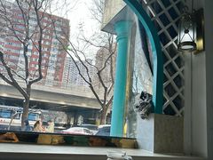 -帕米尔食府(白云观店)