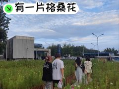 -北沙滩(地铁站)