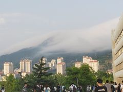 -青岛大学(金家岭校区)