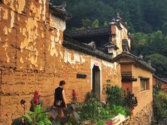 -杨家堂村