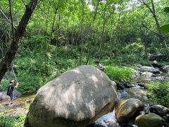 -云岫谷自然风景区