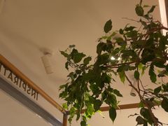 -喜茶(广州石牌桥店)