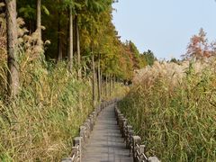 -苏州太湖湖滨国家湿地公园