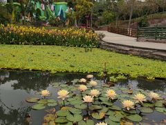-广州莲花山旅游区