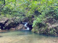 -百里鲜(羚羊峡古栈道森林公园店)